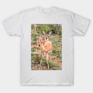 Dik-Dik Couple - Kruger National Park T-Shirt